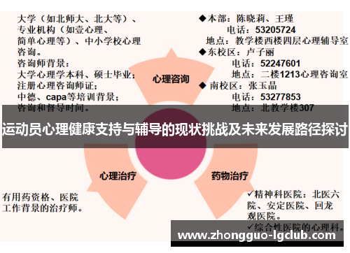 运动员心理健康支持与辅导的现状挑战及未来发展路径探讨
